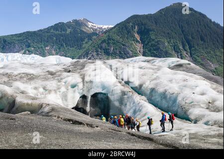West Glacier Trail, Tongass National Forest, Juneau, Alaska, USA, windet sich durch Wälder zum westlichen Mendenhall Glacier, wo Bergsteiger das Eis durchqueren Stockfoto