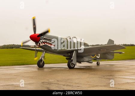 P51D Mustang Stockfoto