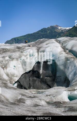 West Glacier Trail, Tongass National Forest, Juneau, Alaska, USA, windet sich durch Wälder zum westlichen Mendenhall Glacier, wo Bergsteiger das Eis durchqueren Stockfoto