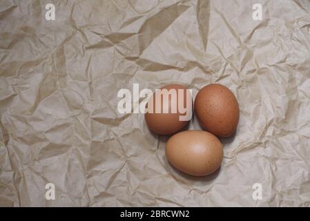 Drei Hühnchen braune Eier auf dem Handwerk zerknittert Papier Hintergrund. Platz für Text. Stockfoto