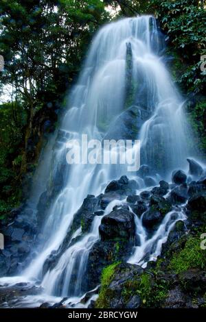 Wasserfall, Parque Natural Da Ribeira Dos Caldeiroes, Achada, Sao Miguel, Azoren, Portugal Stockfoto