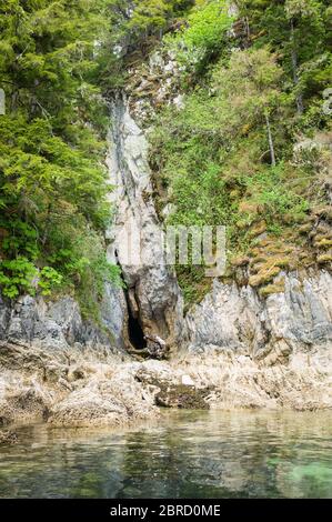 Meereshöhlen sind weit verbreitet entlang der Meeresklippen von Halleck Harbour, Kuiu Island, Südost-Alaska. Stockfoto