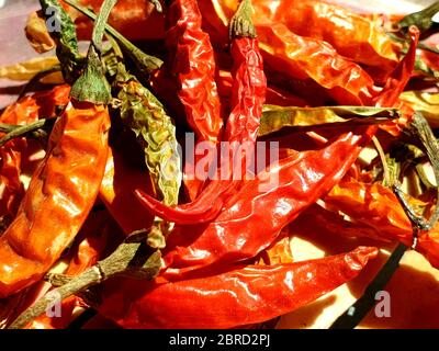 Red Chills werden verwendet, um verschiedene Arten von Gerichten in indien und außerhalb indien zu machen. Rote Schüttelfrost zum Trocknen geben Stockfoto