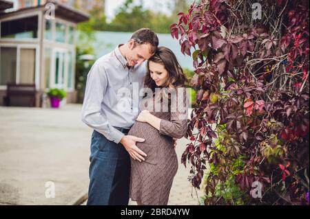 Eine schwangere junge Frau und ihr Mann. Eine glückliche Familie, die an der roten Herbsthecke steht, den Bauch hält. Schwangere Frau, die sich im Park entspannt. Stockfoto