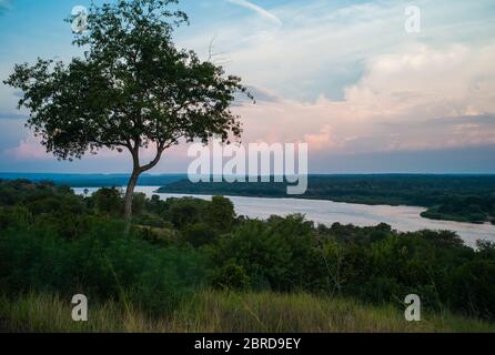 Nil bei Sonnenuntergang in der Nähe von Paraa im Murchison Falls Nationalpark, Uganda, Afrika - Landschaft des Victoria Nils am Abend Stockfoto