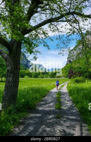 Weibliche Spaziergang entlang einer schmalen Straße zwischen Bäumen, Ariege, Französisch Pyrenäen, Pyrenäen, Frankreich Stockfoto