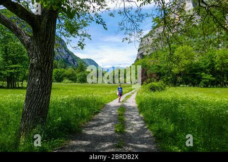 Weibliche Spaziergang entlang einer schmalen Straße zwischen Bäumen, Ariege, Französisch Pyrenäen, Pyrenäen, Frankreich Stockfoto