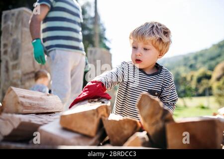 Ein Vater und Kleinkind Junge im Sommer draußen, arbeiten mit Brennholz. Stockfoto