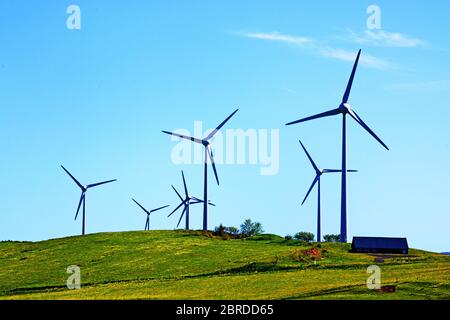 Windmühle, Plateau von Cezallier, Parc Naturel Regional des Volcans d'Auvergne, Puy-de-Dome, Auvergne-Rhone-Alpes, Frankreich Stockfoto