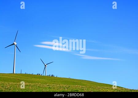 Windmühle, Plateau von Cezallier, Parc Naturel Regional des Volcans d'Auvergne, Puy-de-Dome, Auvergne-Rhone-Alpes, Frankreich Stockfoto