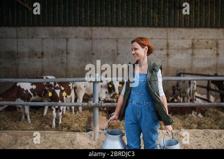 Frau Arbeiter mit Dosen arbeiten auf Tagebuchfarm, Landwirtschaft. Stockfoto