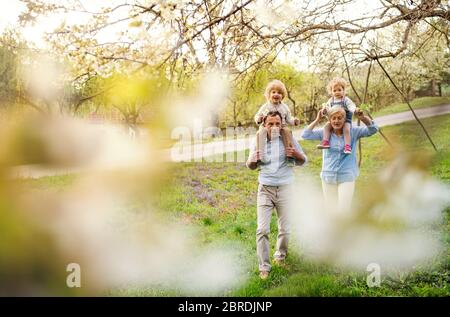 Großeltern mit Enkelkindern im Frühjahr in der Natur spazieren. Stockfoto