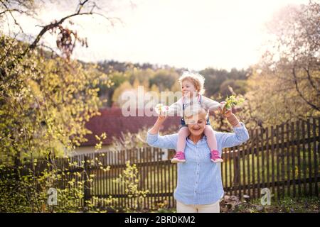 Ältere Großmutter mit Kleinkind Enkelin in der Natur im Frühjahr stehen. Stockfoto