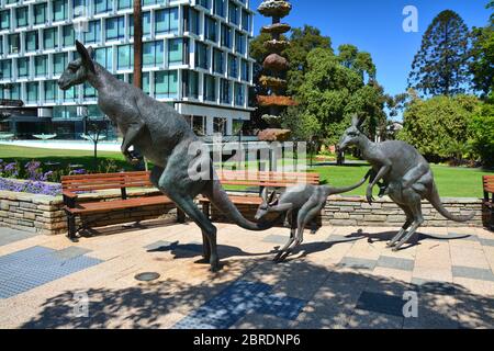 PERTH, WESTERN AUSTRALIA – 20. SEPTEMBER 2015: Känguru-Skulpturen in Stirling Gardens. Stirling Gardens sind die ältesten Gärten der Stadt Stockfoto