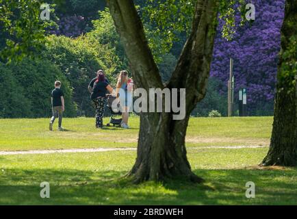 Brentwood Essex 21. Mai 2020 Essex Country Parks sind zum ersten Mal seit Beginn der Sperrung für die Öffentlichkeit zugänglich. North Weald Country Park, Brentwood Essex Credit: Ian Davidson/Alamy Live News Stockfoto