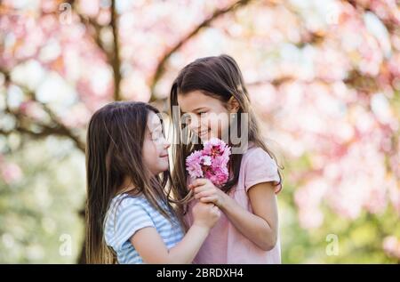 Zwei kleine Mädchen stehen draußen in der Frühlingsnatur, die Blumen halten. Stockfoto