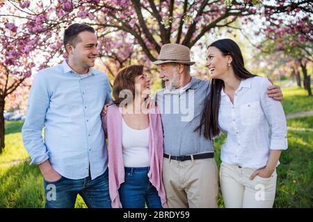 Junges Paar mit älteren Eltern zu Fuß außerhalb in der Frühlingsnatur. Stockfoto