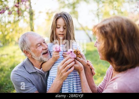 Ältere Großeltern mit kleiner Großmutter, die draußen in der Frühlingsnatur sitzt. Stockfoto