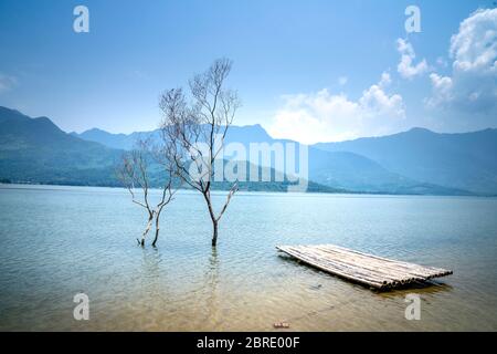 Schöne Bilder von Bambusflößen mit trockenen Bäumen auf Lap an Lagune, Hue Stadt, Vietnam Stockfoto