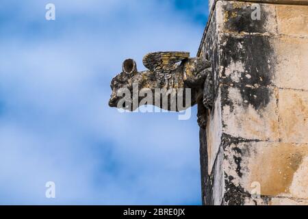Gargoyle auf der Fassade des Klosters von Saint Mary of the Victory in Batalha, Portugal Stockfoto