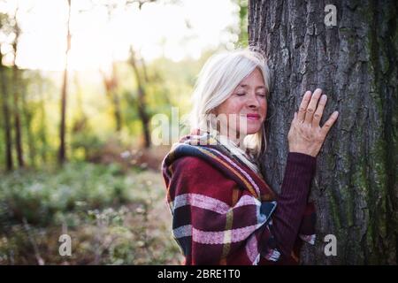 Ältere Frau auf einem Spaziergang in einem Herbstwald, umarmt Baum. Stockfoto