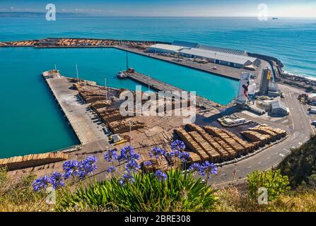 Große Stapel von Holzstämmen, am Hafen von Napier, Blick vom Bluff Hill Lookout, in Napier, Hawke's Bay Region, North Island, Neuseeland Stockfoto