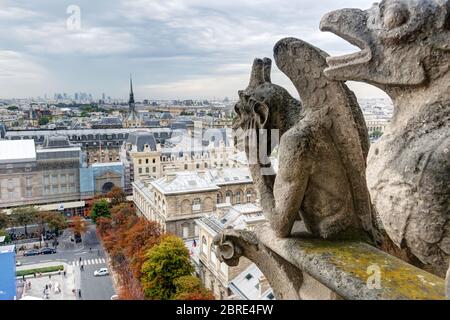 Chimera (Wasserspeier) der Kathedrale von Notre Dame de Paris mit Blick auf Paris, Frankreich Stockfoto