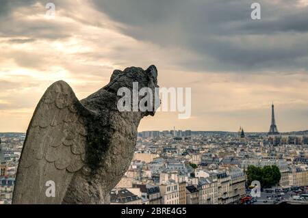 Chimera (Wasserspeier) der Kathedrale Notre Dame de Paris mit Blick auf den Eiffelturm in Paris, Frankreich Stockfoto