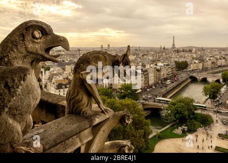 Chimera (Wasserspeier) auf der Kathedrale Notre Dame de Paris mit Blick auf Paris, Frankreich Stockfoto