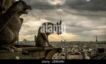 Wasserspeier oder Chimären auf der Kathedrale Notre Dame de Paris mit Blick auf Paris, Frankreich. Wasserspeier sind die berühmten gotischen Wahrzeichen von Paris. Dramatisch Stockfoto