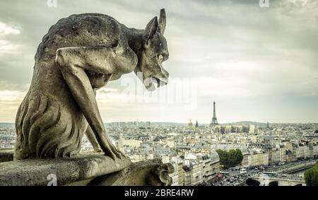 Gargoyle oder Chimera auf der Kathedrale von Notre Dame de Paris schaut auf den Eiffelturm, Paris, Frankreich. Wasserspeier sind die gotischen Wahrzeichen von Paris. Stockfoto