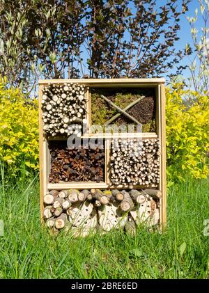 Insektenhaus oder Schlafsaal für Käfer, Käfer, Wespen, Hummeln, aus Rohren, Zapfen, Zweigen, perforiertem Hanf für den Umweltschutz der Garde Stockfoto