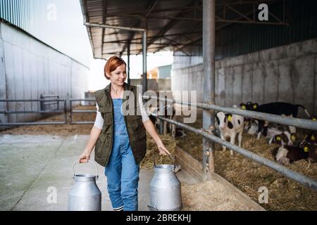 Frau Arbeiter mit Dosen arbeiten auf Tagebuchfarm, Landwirtschaft. Stockfoto