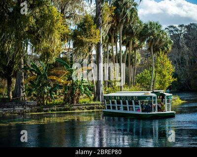 Silver Spring State Park, Ocala, Florida Stockfoto