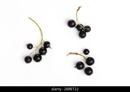 Schwarze Johannisbeere und Blätter isoliert. Flach liegend, Draufsicht Stockfoto