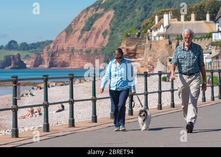 Sidmouth, East Devon, Großbritannien. Mai 2020. UK Wetter: Ein Paar Spaziergang entlang der Esplanade mit einem Hund bei einem herrlich heißen und sonnigen Wetter in der malerischen Regency Stadt Sidmouth. Die heiße Sonne wird voraussichtlich bis in das Feiertagswochenende der Bank andauern. Quelle: DWR/Alamy Live News Stockfoto