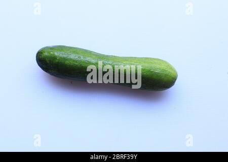 Grüne frische Gurke isoliert auf weißem Hintergrund Stockfoto