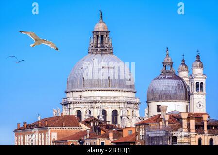 Basilica di Santa Maria della Salute, Venedig, Italien. Die berühmte Kirche von Salute ist eines der wichtigsten Wahrzeichen Venedigs. Kuppeln der alten Kathedrale mit Flycin Stockfoto