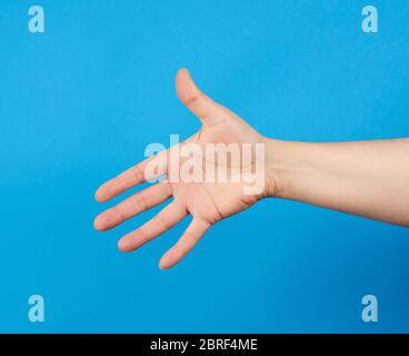Ausgestreckte Hand des Menschen, offene Hand, Körperteil auf blauem Hintergrund, Nahaufnahme Stockfoto