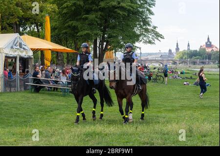 Dresden, Deutschland. Mai 2020. Polizeibeamte des sächsischen Polizeireitteams patrouillieren am Vatertag, auch Männertag genannt, in einem Biergarten am Elbufer auf ihren Pferden. Nach den Erfahrungen der letzten Jahre erwartet die sächsische Polizei einen weitgehend friedlichen Vatertag. Quelle: Robert Michael/dpa-Zentralbild/dpa/Alamy Live News Stockfoto