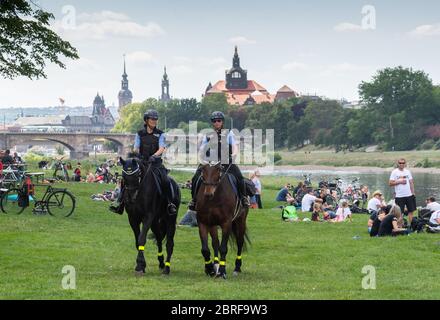 Dresden, Deutschland. Mai 2020. Polizeibeamte des sächsischen Polizeireitteams patrouillieren am Vatertag, auch Männertag genannt, in einem Biergarten am Elbufer auf ihren Pferden. Nach den Erfahrungen der letzten Jahre erwartet die sächsische Polizei einen weitgehend friedlichen Vatertag. Quelle: Robert Michael/dpa-Zentralbild/dpa/Alamy Live News Stockfoto