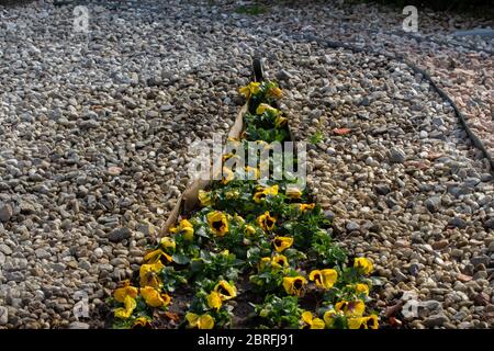 Metalleinfassung, die verschiedene Farben von Kies und Blumen in einem Park trennt Stockfoto