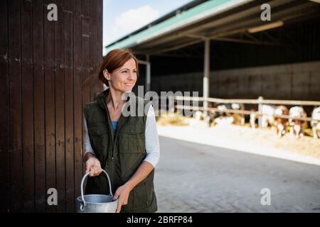 Frau Arbeiter mit Dosen arbeiten auf Tagebuchfarm, Landwirtschaft. Stockfoto
