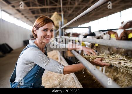 Frau Arbeiter mit Heu auf Tagebuchfarm, Landwirtschaft. Stockfoto