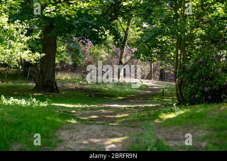 Essex, Großbritannien. Mai 2020. UK Wetter: Essex Parks zum ersten Mal seit der Coronavirus/COVID-19 Pandemie für die Öffentlichkeit zugänglich. Kredit: Ricci Fothergill/Alamy Live News Stockfoto