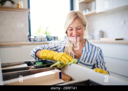 Porträt von älteren Frau Reinigung Küchenschranktüren im Haus. Stockfoto