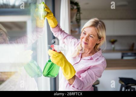 Porträt von älteren Frau putzen Fenster drinnen zu Hause. Stockfoto