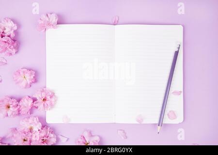 Draufsicht offenes Notizbuch mit schönen Sakura Blumen auf rosa Hintergrund Stockfoto