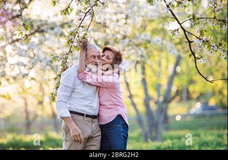 Schöne ältere Paar in der Liebe draußen im Frühling Natur, umarmt. Stockfoto