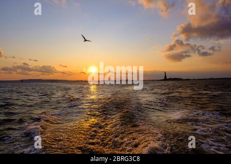 Eine Möwe im Flug über dem Wasser mit Sonnenuntergang und Freiheitsstatue im Hintergrund, New York, USA Stockfoto